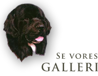 Se vores Newfoundland billede galleri